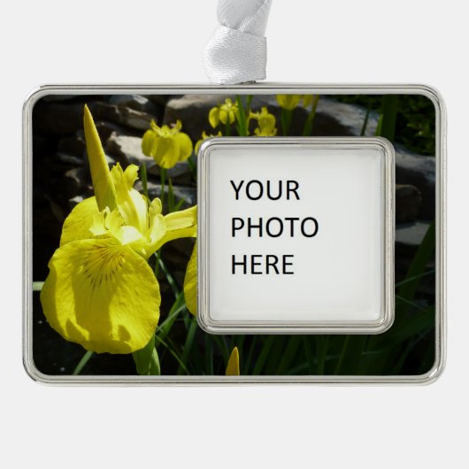 Yellow Irises Bright Spring Floral Rahmen-Ornament Silber (Vorderseite)