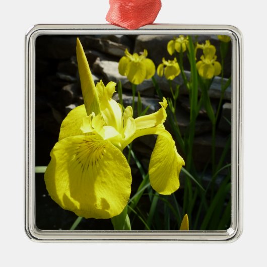 Yellow Irises Bright Spring Floral Silbernes Ornament (Vorne)
