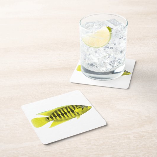 Yellow Jacket Cichlid Rechteckiger Pappuntersetzer (Vor Ort)