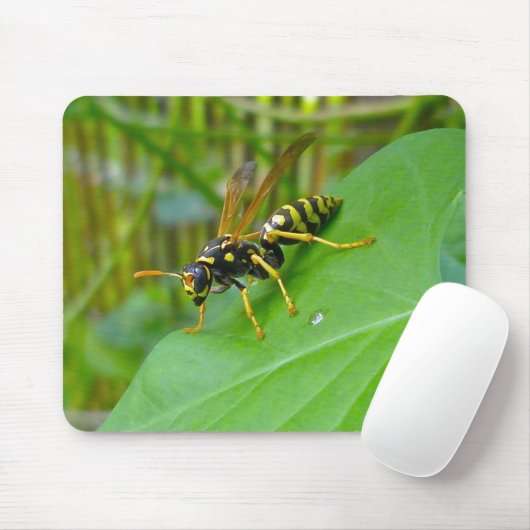 Yellow Jacket Mousepad (Mit Mouse)