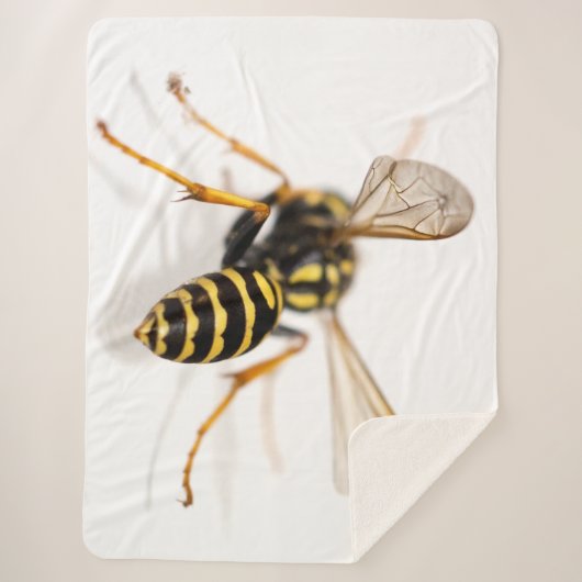 YELLOW JACKET SHERPADECKE (Vorderseite)