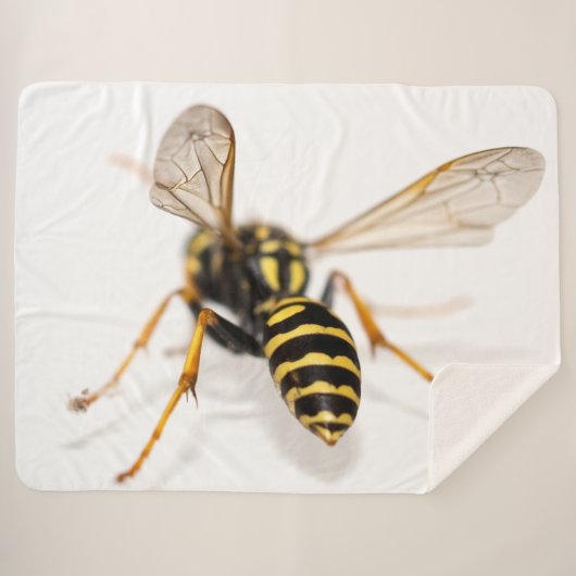 YELLOW JACKET SHERPADECKE (Vorderseite (Horizontal))