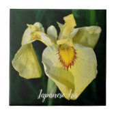 Yellow Japanese Iris Floral Fliese (Vorderseite)