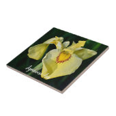 Yellow Japanese Iris Floral Fliese (Seite)