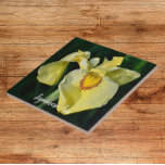 Yellow Japanese Iris Floral Fliese<br><div class="desc">Keramik Kachel,  die das Foto eines gelben japanischen Iris Blüte zeigt. Ein schönes,  blumengeschmücktes Design! Wählen Sie Ihre Kachelgröße aus. Macht eine hübsche Küche trivet!</div>