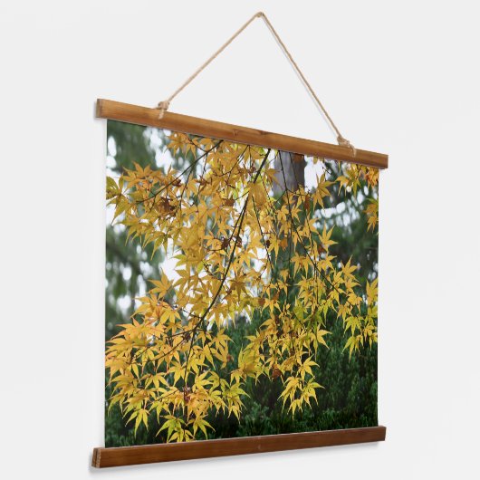 Yellow Japanese Maple Blätter Fotografy Wandteppich Mit Holzrahmen (Gewinkelt)