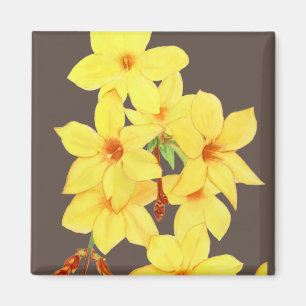Yellow Jasmine Blume Magnet   Aquarellkunst