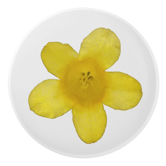 Yellow Jasmine Keramikknauf (Vorderseite)