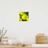 Yellow Johnny Jump Up Poster Print (Küche)