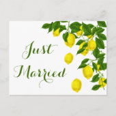 Yellow Just Married Lemon Green Wedrus Citrus Ankündigungspostkarte (Vorderseite)