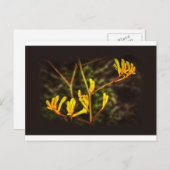 Yellow Kangaroo Paw Blume Postkarte (Vorne/Hinten)