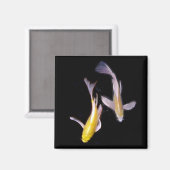 Yellow Koi Pair Magnet (Vorderseite/Rückseite)