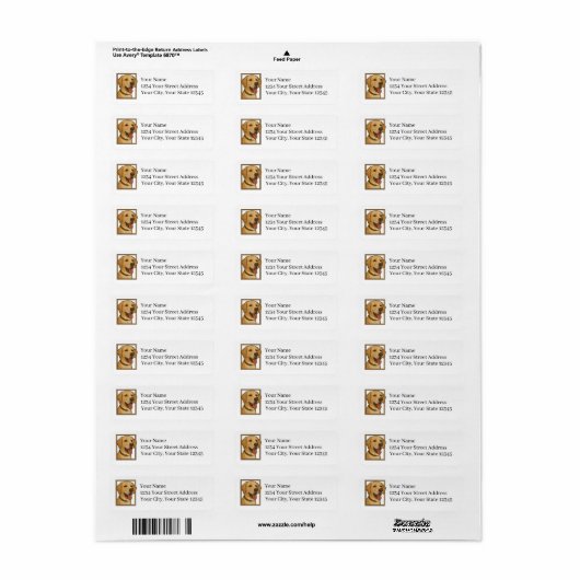 Yellow Lab Hound Return Address Labels (Vorne)