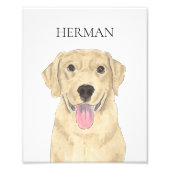 Yellow Labrador Art Fotodruck (Vorne)
