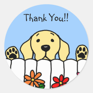 Yellow Labrador beobachtet Sie Runder Aufkleber