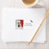 Yellow Labrador Christmas Address Labels Adressaufkleber (Insitu)