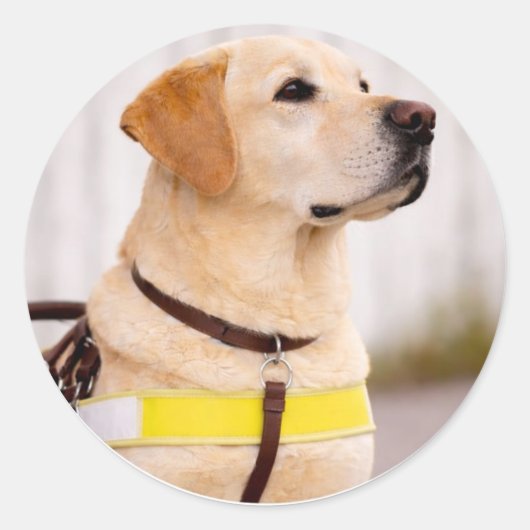 Yellow Labrador Guide Dog Graduation Envelope Seal Runder Aufkleber (Vorderseite)