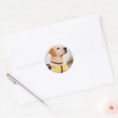 Yellow Labrador Guide Dog Graduation Envelope Seal Runder Aufkleber (Umschlag)