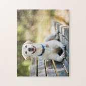Yellow Labrador Lays On Bench Puzzle (Vertikal)