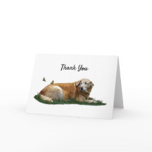 Yellow Labrador Mixed Rasse Hund Danke Karte