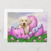 Yellow Labrador Osterüberraschung Feiertagspostkarte (Vorne/Hinten)