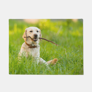 Yellow Labrador Plays mit Stick Fußmatte