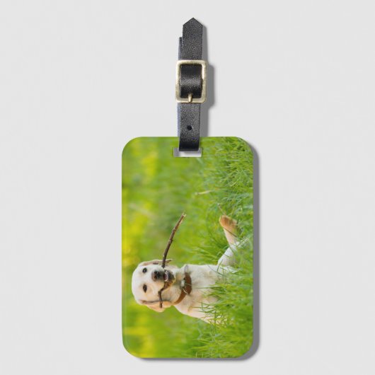 Yellow Labrador Plays mit Stick Gepäckanhänger (Vorderseite Vertikal)