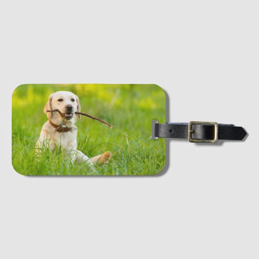 Yellow Labrador Plays mit Stick Gepäckanhänger (Vorderseite (Horizontal))