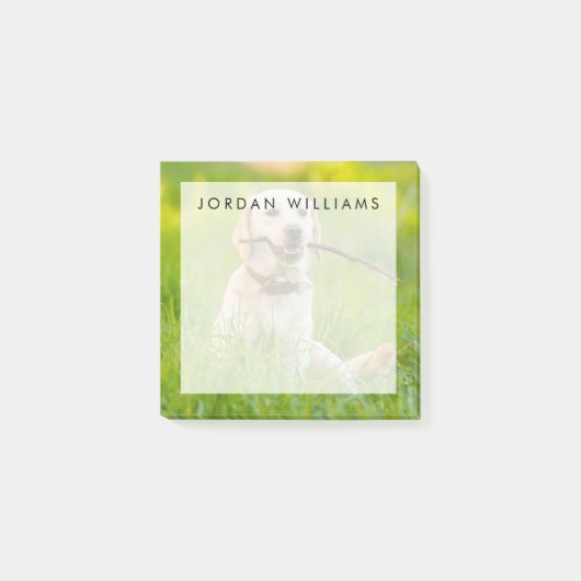 Yellow Labrador Plays mit Stick Post-it Klebezettel (Vorderseite)