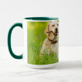 Yellow Labrador Plays mit Stick Tasse (Links)