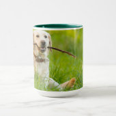 Yellow Labrador Plays mit Stick Tasse (Zentrum)