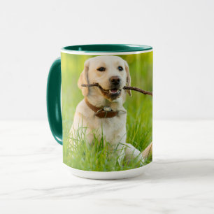 Yellow Labrador Plays mit Stick Tasse