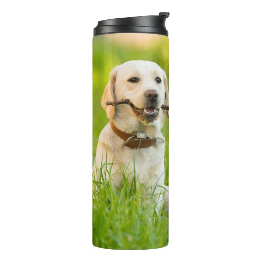 Yellow Labrador Plays mit Stick Thermosbecher (Nach links gedreht)