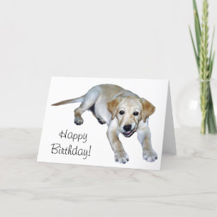 Yellow Labrador Puppy Card Karte