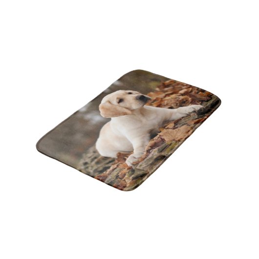 Yellow Labrador Puppy im Herbst Badematte (Schrägansicht)