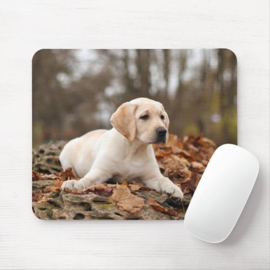 Yellow Labrador Puppy im Herbst Mousepad (Mit Mouse)