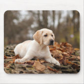 Yellow Labrador Puppy im Herbst Mousepad (Vorne)