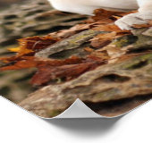 Yellow Labrador Puppy im Herbst Poster (Ecke)