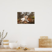 Yellow Labrador Puppy im Herbst Poster (Küche)