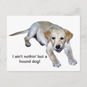Yellow Labrador Puppy Postcard Postkarte