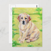 Yellow Labrador Puppy Postkarte (Vorne/Hinten)