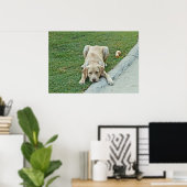 Yellow Labrador Puppy Pouster Poster (Heimbüro)