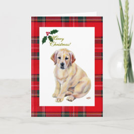 Yellow Labrador Puppy Tartan Weihnachten