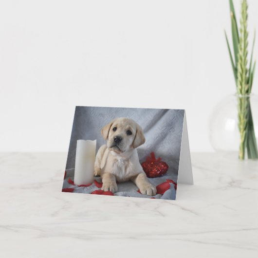Yellow Labrador Puppy Valentinstag Dankeskarte (Vorderseite)