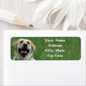 Yellow Labrador Retriever Address Labels (Insitu)