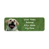 Yellow Labrador Retriever Address Labels (Vorne)