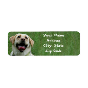 Yellow Labrador Retriever Address Labels