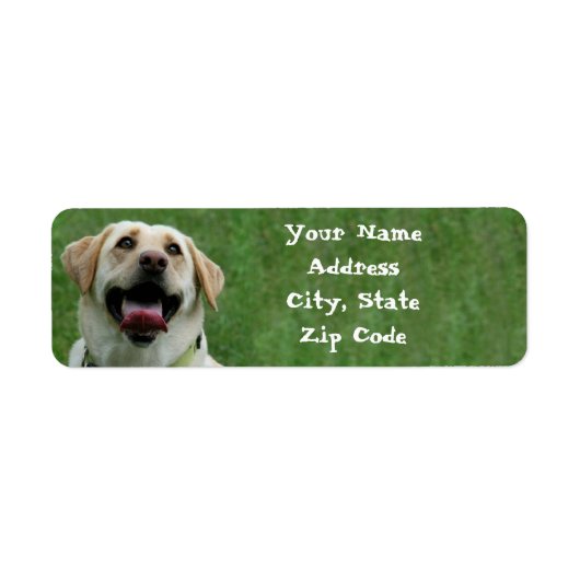 Yellow Labrador Retriever Address Labels (Vorne)