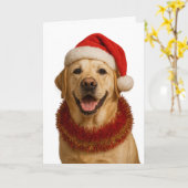 Yellow Labrador Retriever Christmas card Karte (Gelbe Blume)
