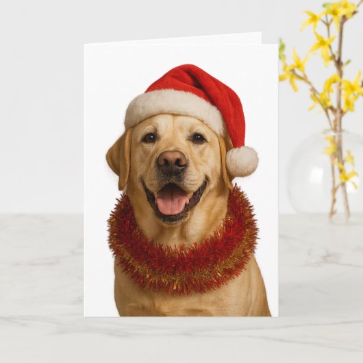 Yellow Labrador Retriever Christmas card Karte (Gelbe Blume)